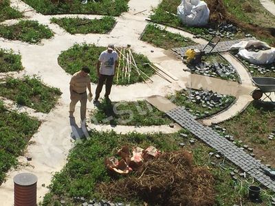 Ландшафтный дизайн